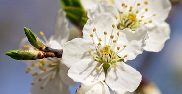 blog